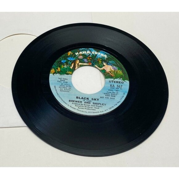 Brewer and Shipley Black Sky 45 Vinyl 70s Rock Promo Kama Sutra 567 - Picture 4 of 6
